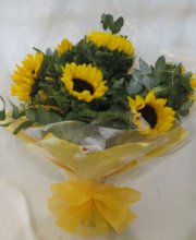 Sunflower Sunshine 1