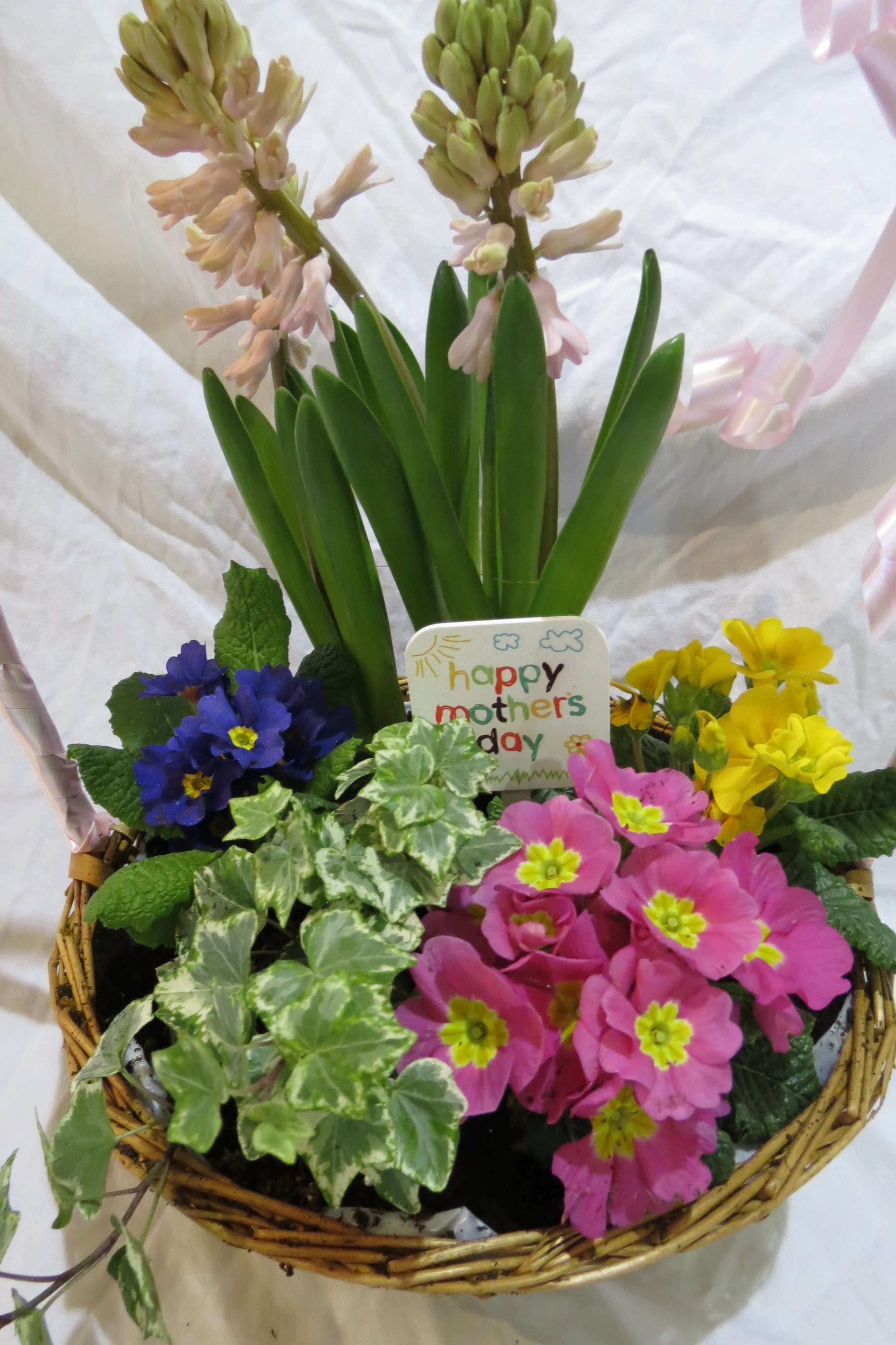 Mothers Day Planter Basket All Seasons Florist