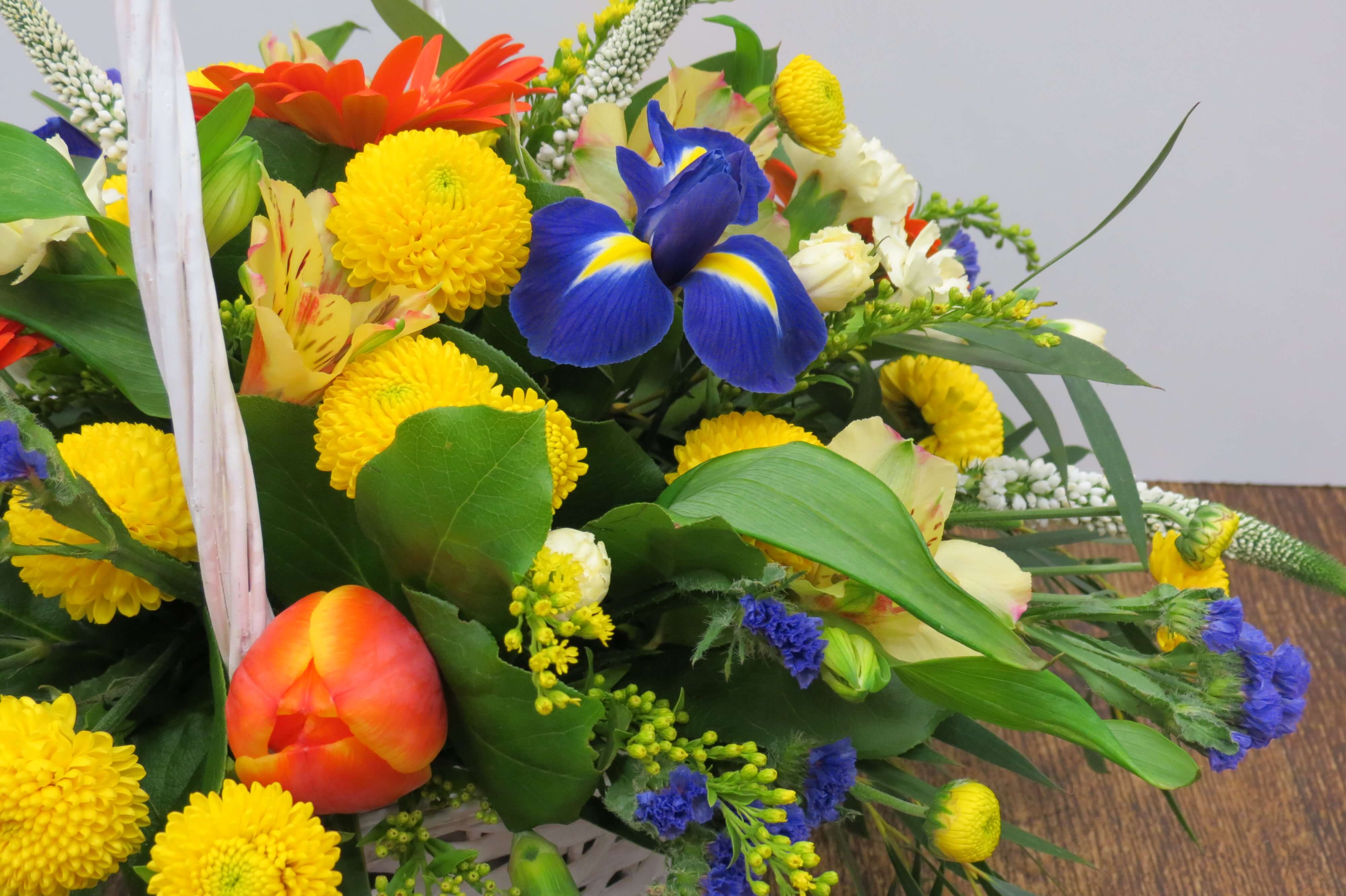 Spring Delight All Seasons Florist